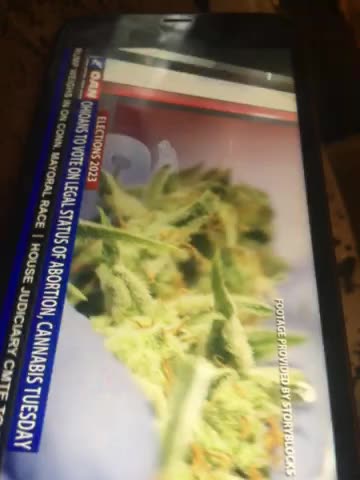 Issue 1 and 2 Tuesday Ohio abortion and marijuana legalization