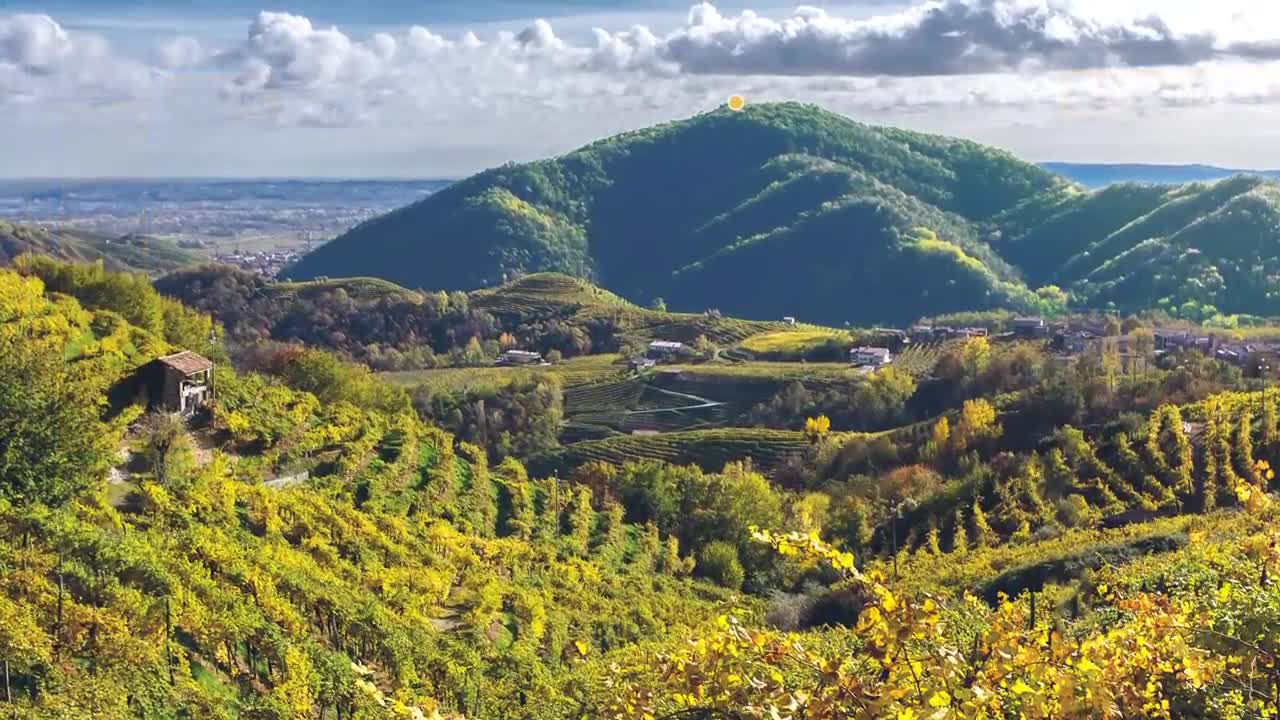 Flora e fauna della collina