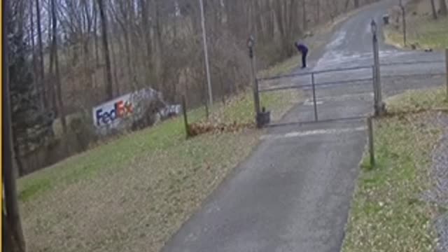 FedEx Driver Forgets to Put It in Park