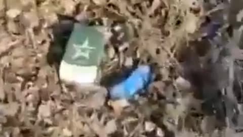 Russia Ukraine War results of war