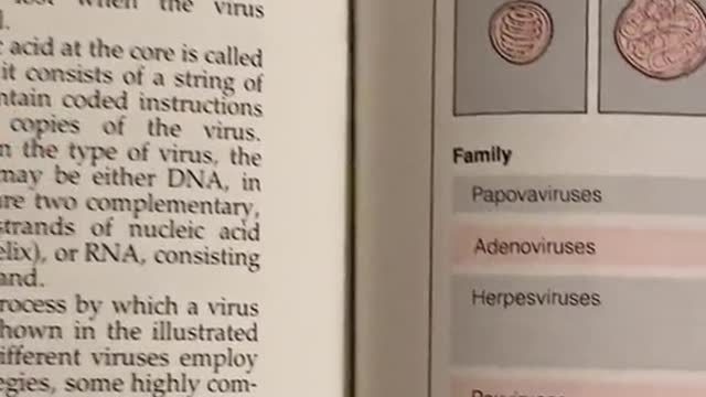 The American Medical Association Encyclopedia of Medicine