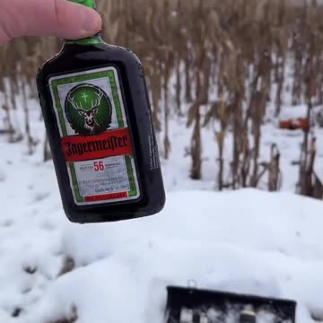 We drink and snack on snow