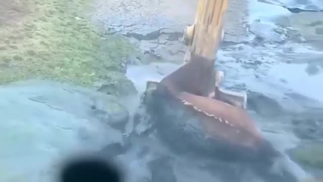 Rescuing a horse who is unable to escape this deep mud 🙏🏽❤⁣