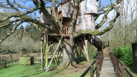 OUR LUXURY TREEHOUSE TOUR - LIVING IN A TREE