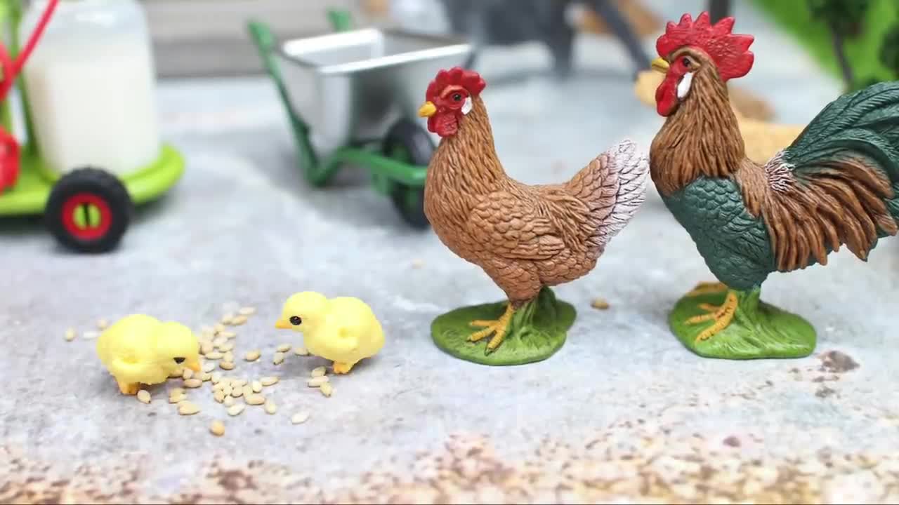 Funny Chicken ★ ULTIMATE Funny CHICKEN Compilation (HD) -1