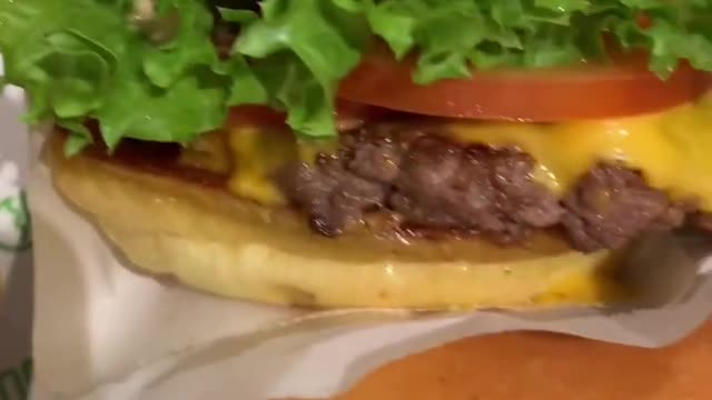 burgers and fries #shakeshack #satisfying #trendingvideo #shorts
