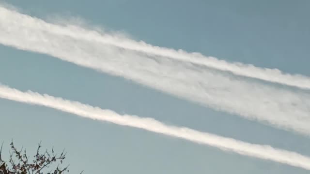 THANKSGIVING Morning!? What's Going on!?