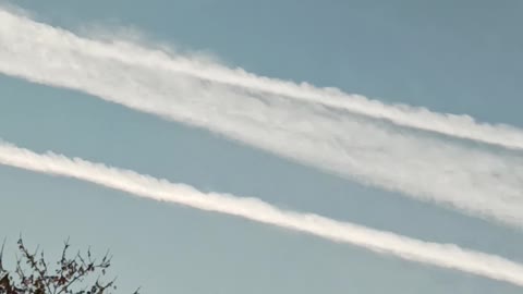 THANKSGIVING Morning!? What's Going on!?