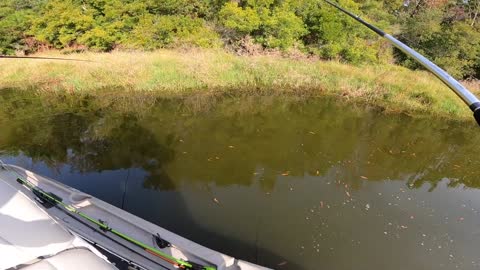 Fishing for 15lb Bass in HIDDEN Trophy Pond!