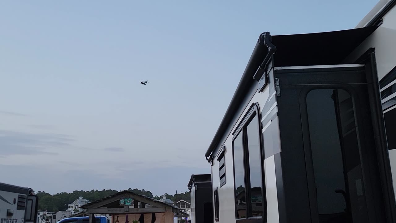 Osprey Over Myrtle Beach Travel Park