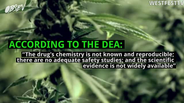 DEA Keeps Marijuana Illegal