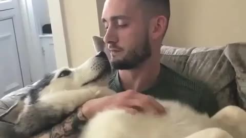 Husky Love