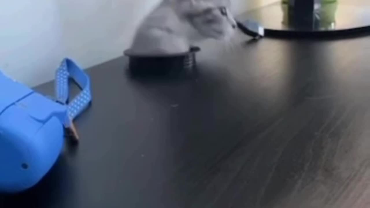 IT specialist investigating mouse issues 😂