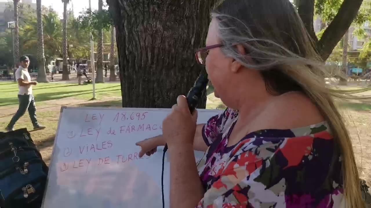 20.02.2023 Jornarda de la resistencia antiplandémica, Parque Inés de Suarez, Santiago