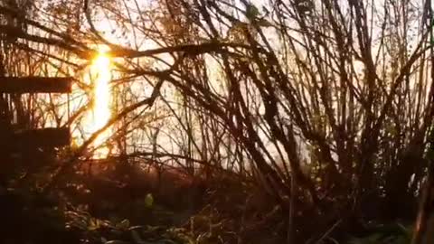 Bluff trail overlooking Salish sea - Olympic Mountains sunset