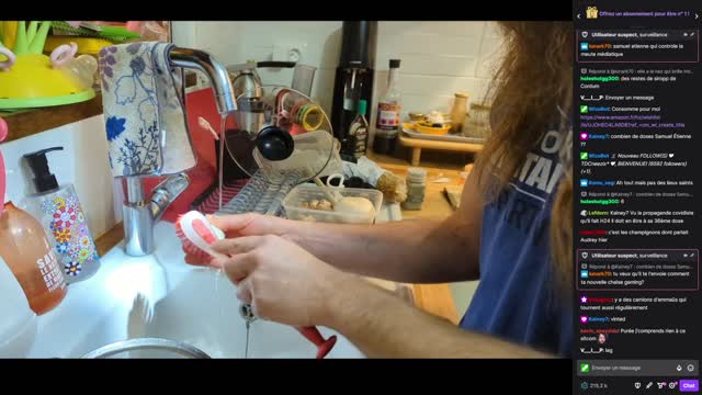 2023-01-04 (4bis) - donne-moi la main camarade - Twitch Triskelina (version avec chat)