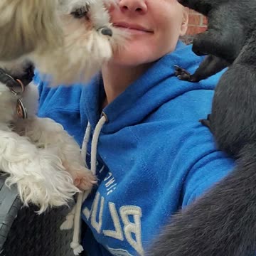 THE CUTEST Pet Squirrel and dog are besties 😍