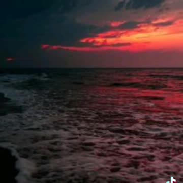 We Live In A Sea Of Consciousness