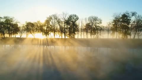 Enchanting Autumn Forests with Beautiful Piano Music