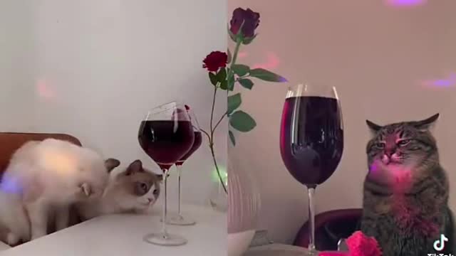 On a date… Which side is you with