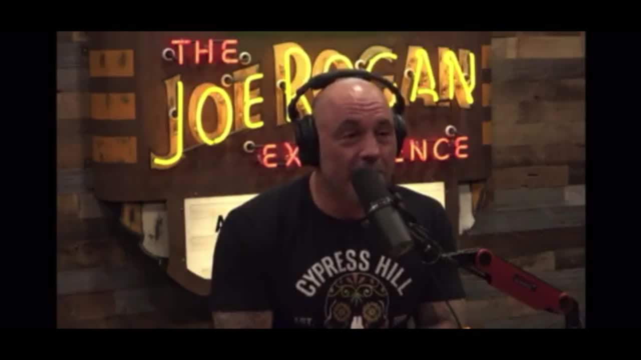 Joe Rogan corners Sanjay Gupta