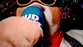 BUD LIGHT Relaunch Commercial TAKE 8