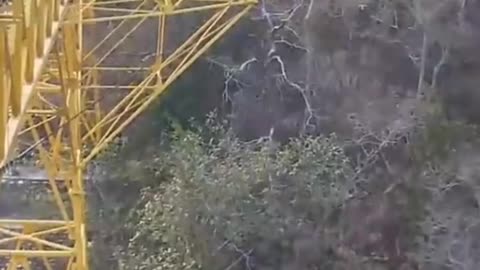 Funny jumping#short