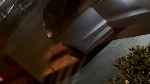 Bear Breaks Into Car