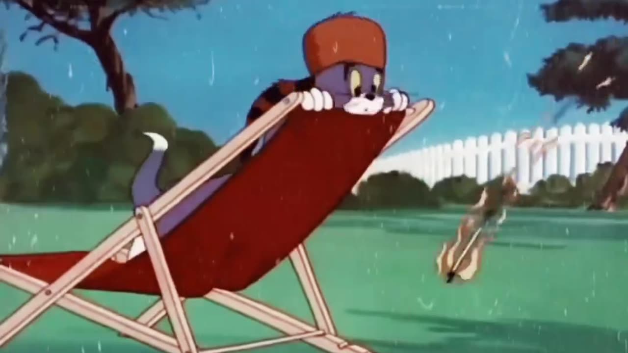 Tom & jerry