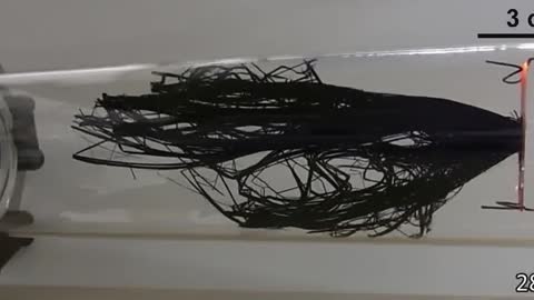 El grafeno se expande con la radiación de frecuencia.