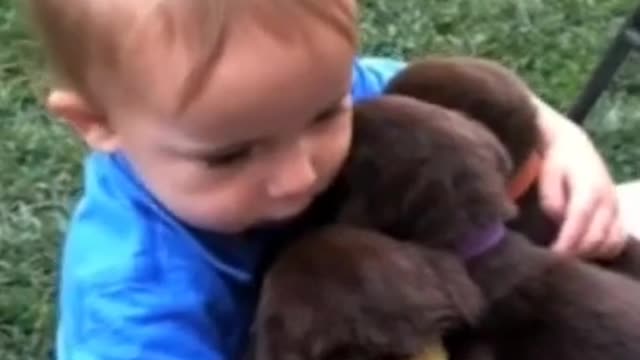 Cute baby hugs three cute puppies