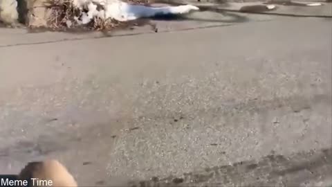 Try not to laugh 😹