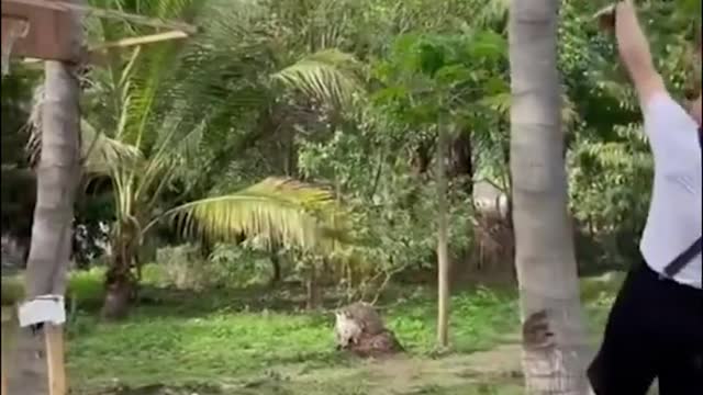 Homemade gym
