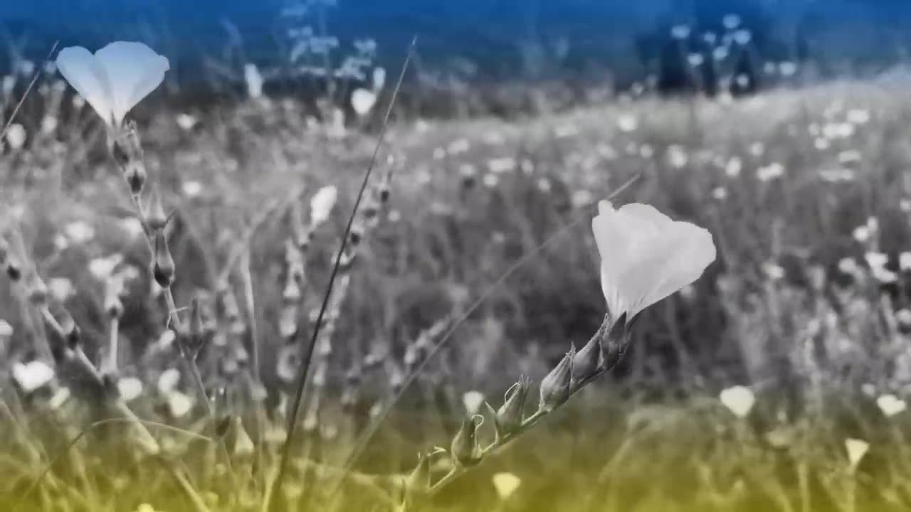Збірка християнських пісень - Наші пісні, збірка 1