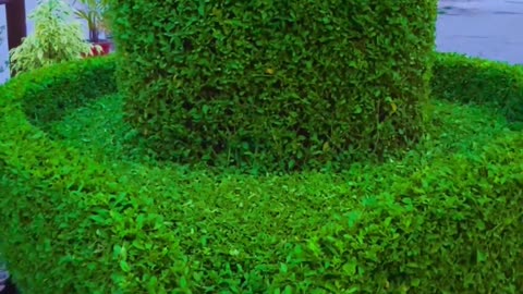 Shivalinga of Mahadev made from plants🔱😍❤🔱