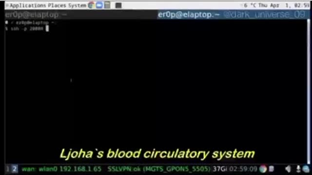 Russian Hacker finds Vaccine Data Base Real Time Information