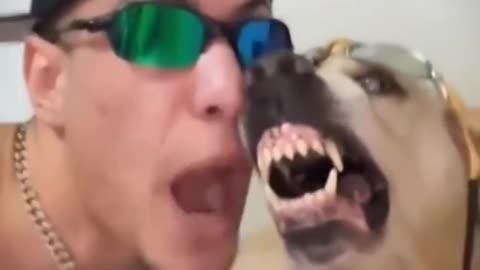Dog Beat Song 😄🤣