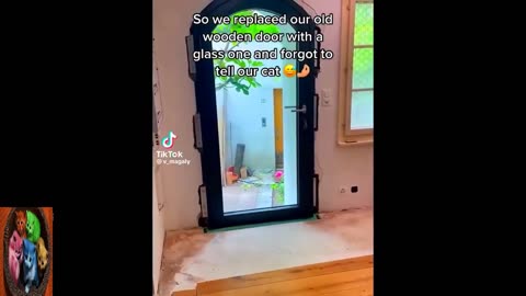 Funny Animal Videos 2023 🥰 - Funniest Dogs and Cats Videos 😅 # 02