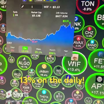 crypto WIF coin #shorts #fyp