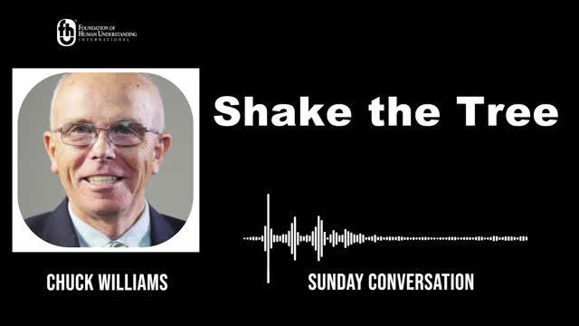 “Shake the Tree” | Sunday Conversation 11/6/2022