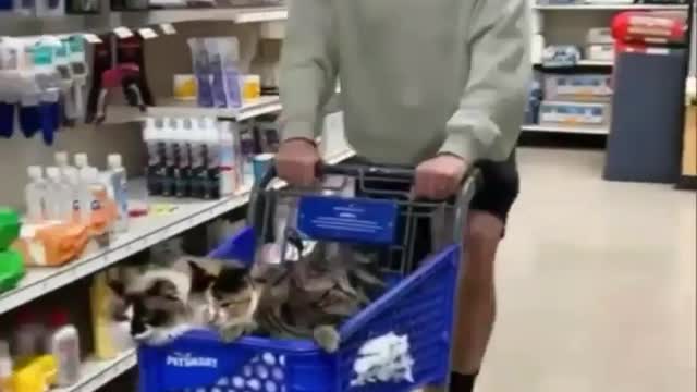 🤯🤯🤯🐈🐈