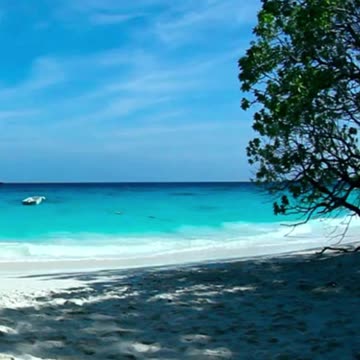 Release Stress and Tension with Progressive Muscle Relaxation 💪 #meditation #stressrelief #shorts