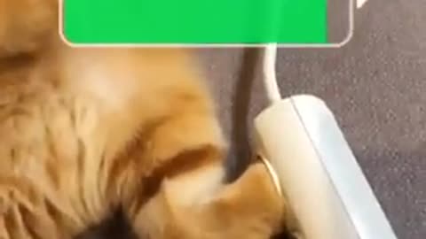 Charge your cats Like This