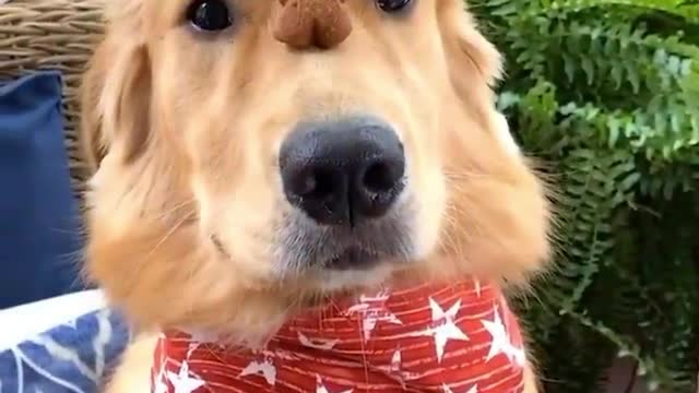 Too cute yet funny at the same time