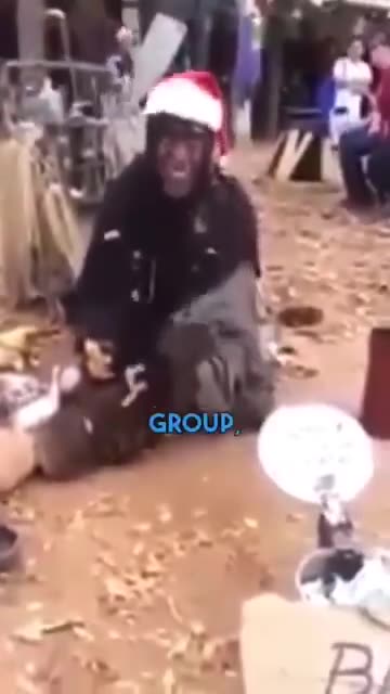 Homeless Man knows Politics