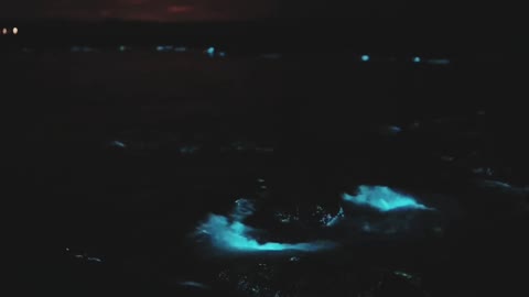 Natural Phenomena Recorded On Camera Part 4