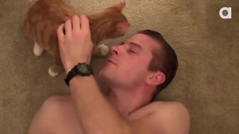 A Cats Guide to Loving a Human 😻🐺💩