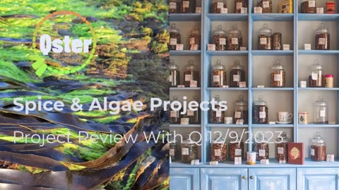 Spice & Algae Projects 12/9/2024