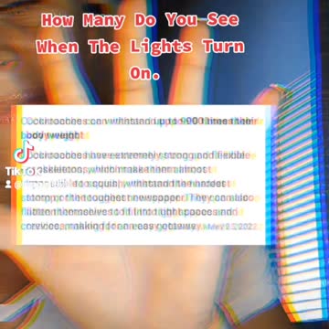 How many do you see when the lights turn on