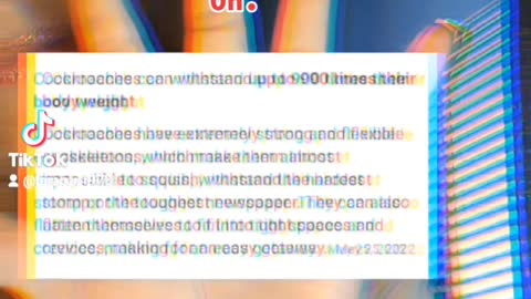 How many do you see when the lights turn on